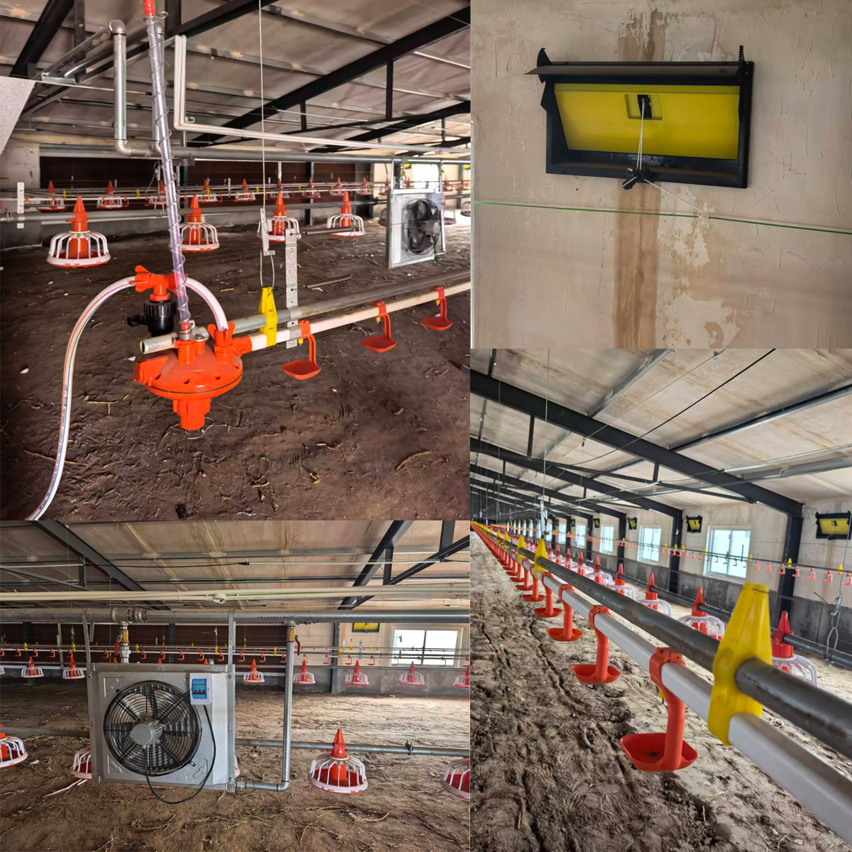 Poultry Farm Facilities