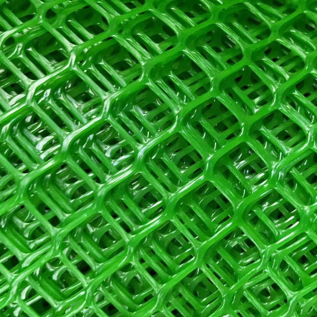 Plastic Fence
