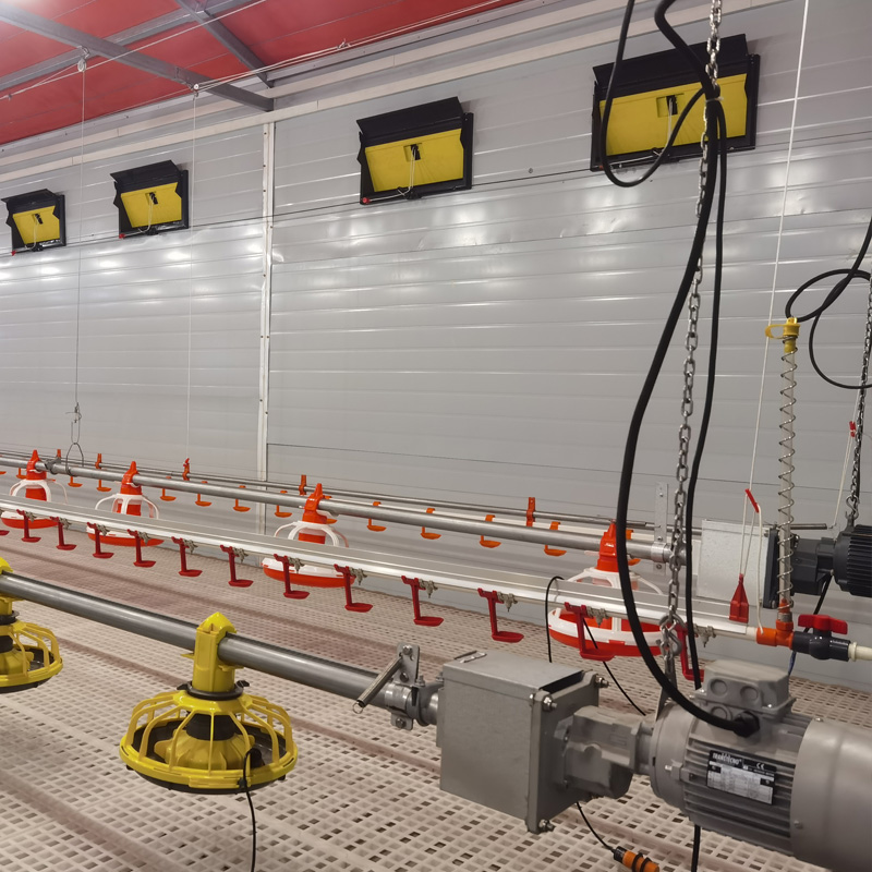 Poultry Feed Supply System