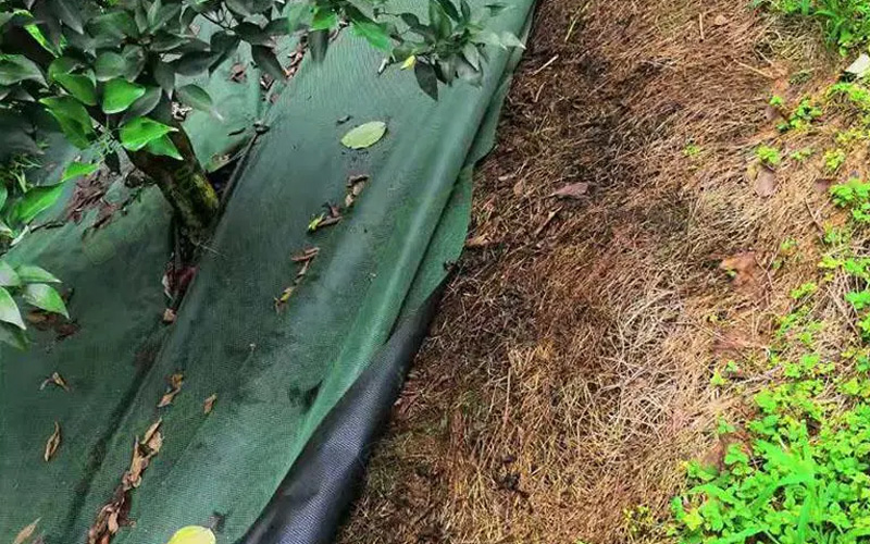 What are the advantages of weed control fabric?