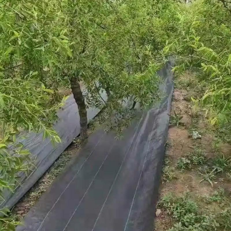 How to Use Weed Control Fabric?