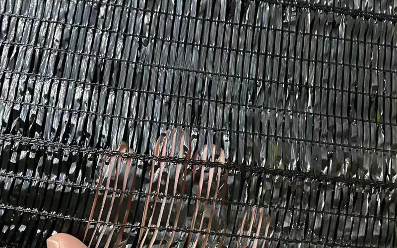 Shade Net