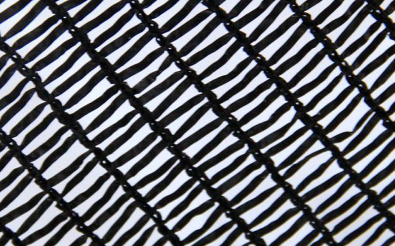 Shade Net